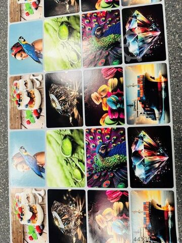 MARK ANDY XP 5000 / 7+1 FLEXO