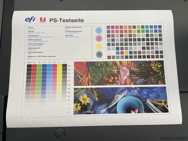 Develop Ineo+ 7090 incl. Fiery, Finisher, IQ-501